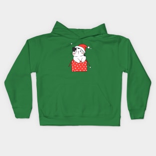 Cat Christmas Box Kids Hoodie